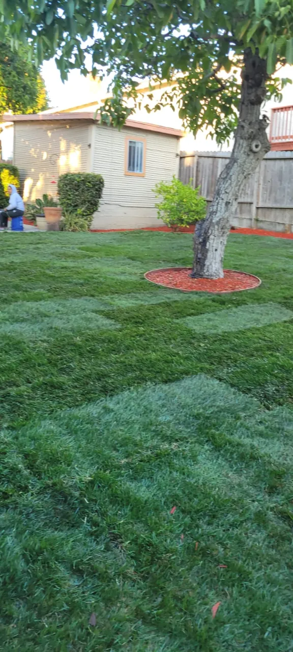 pablolandscapingmaintenanceca